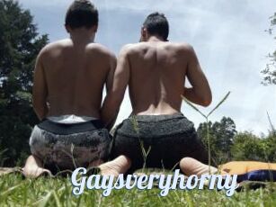 Gaysveryhorny