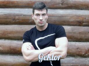 Gektor
