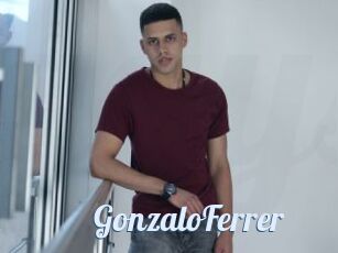 GonzaloFerrer
