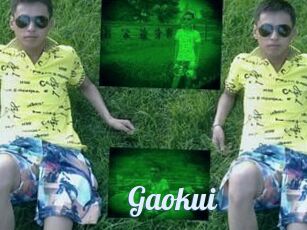 Gaokui