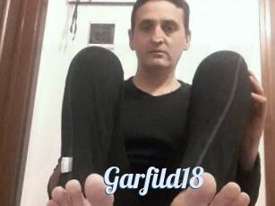 Garfild18