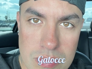 Gatoccc