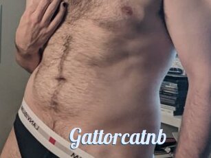 Gattorcatnb