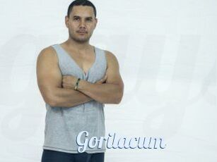 Gorilacum