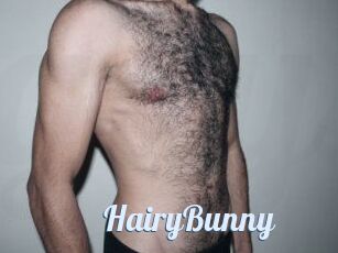HairyBunny