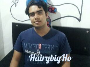 HairybigHo