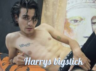 Harrys_bigstick