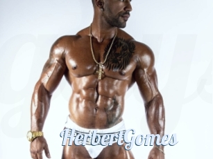 HerbertGomes