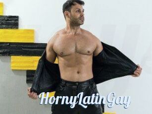 HornyLatinGay
