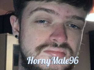 HornyMale96