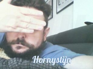 Hornystijn