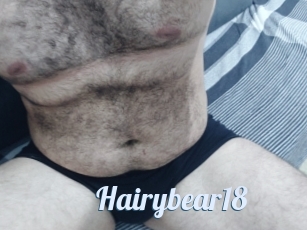 Hairybear18