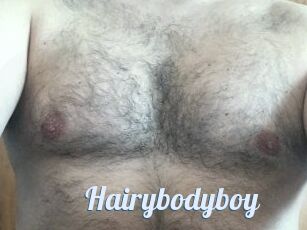 Hairybodyboy