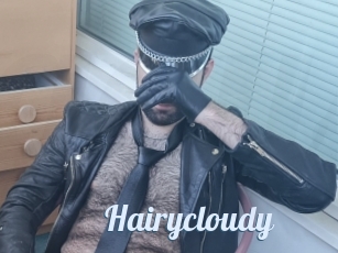 Hairycloudy