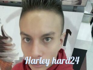 Harley_hard24