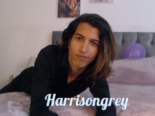 Harrisongrey