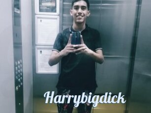 Harrybigdick
