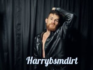 Harrybsmdirt