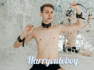 Harrycuteboy