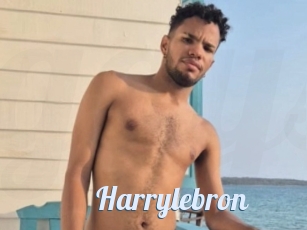 Harrylebron