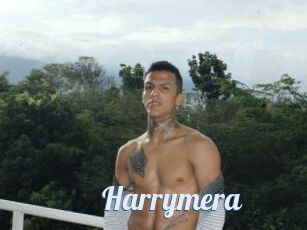 Harrymera