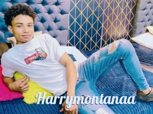 Harrymontanaa