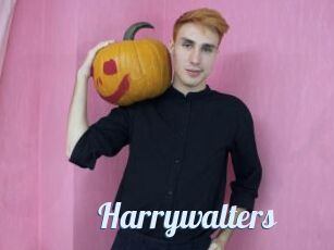 Harrywalters