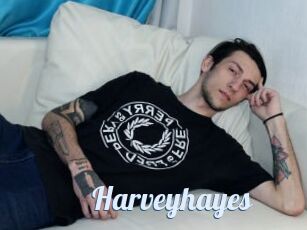 Harveyhayes