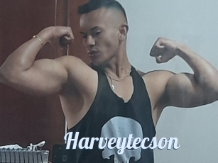 Harveytecson