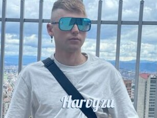 Harvyzu