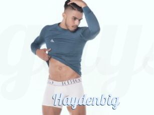 Haydenbig