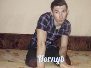 Hornyb