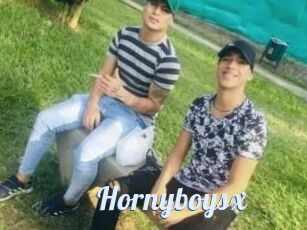 Hornyboysx