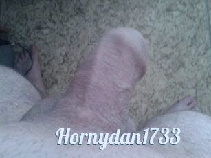 Hornydan1733