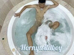 Hornywildboy