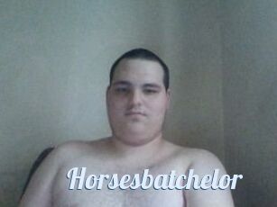 Horsesbatchelor