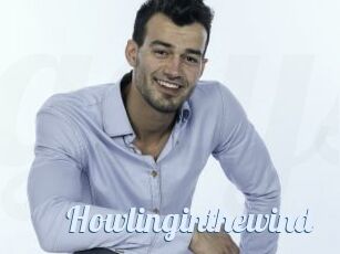 Howlinginthewind