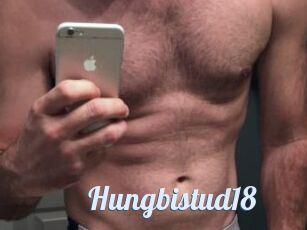 Hungbistud18