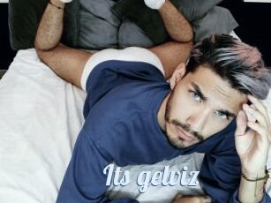 Its_gelviz