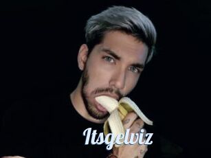 Itsgelviz