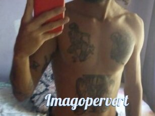Imagopervert