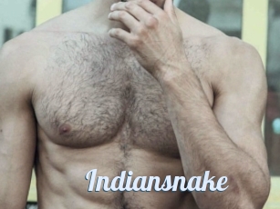 Indiansnake