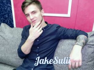 JakeSulii