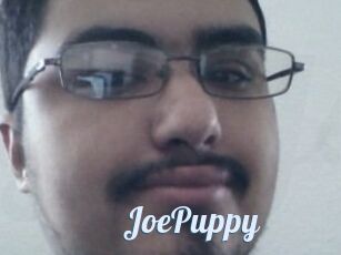 JoePuppy