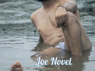 Joe_Novel