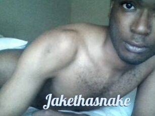 Jake_tha_snake