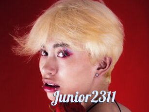 Junior2311