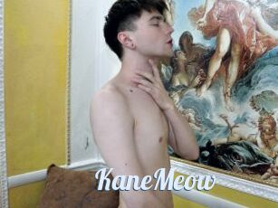 KaneMeow