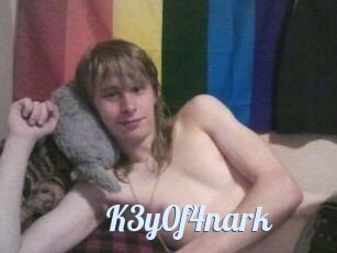 K3y0f4nark