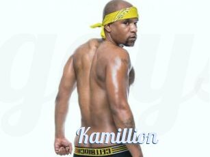 Kamillion